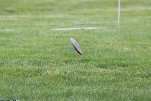 洛阳体育跳远项目培训课程的选择与评价(图1)